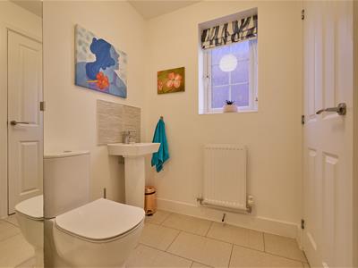 Picture 7